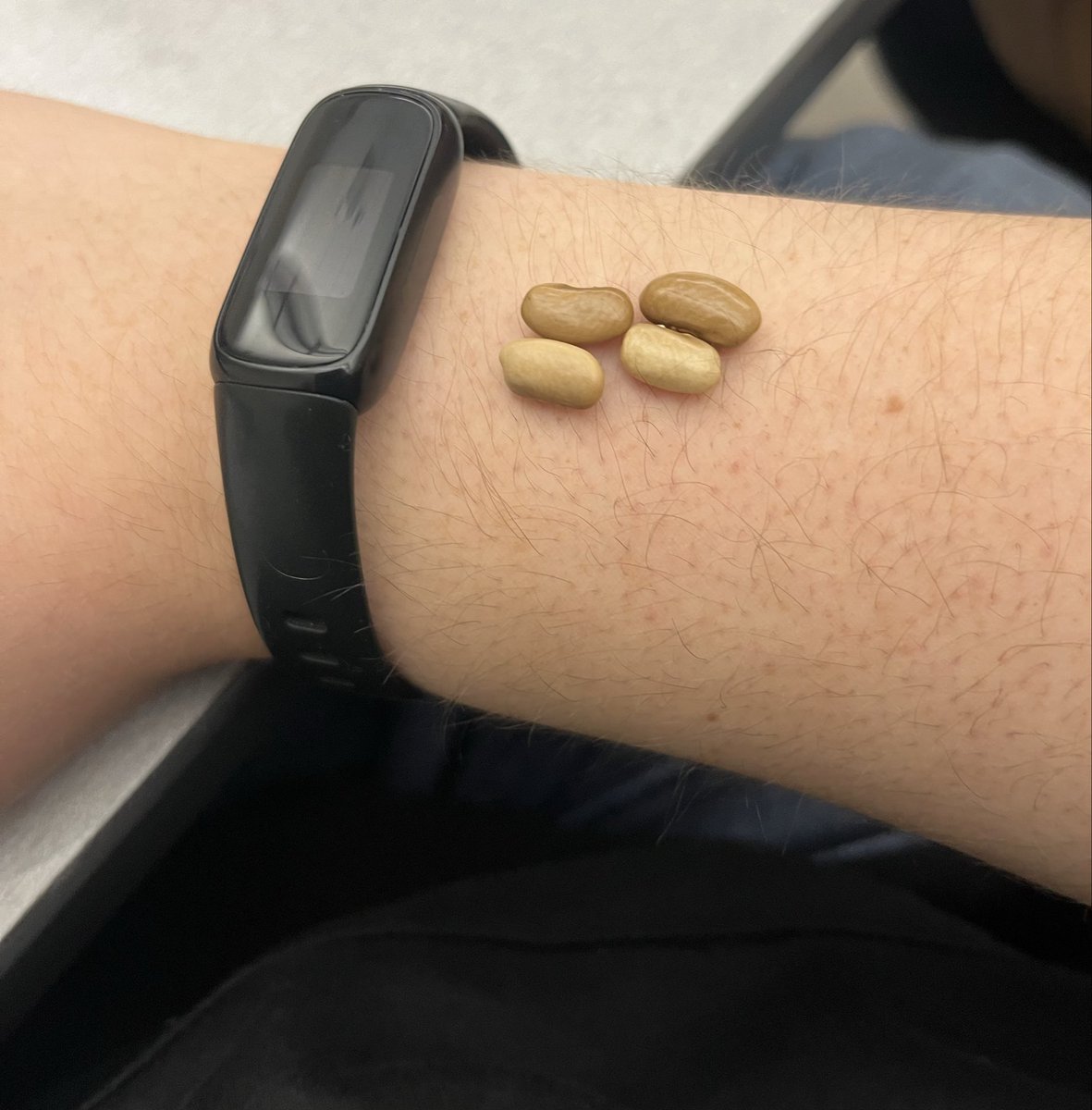 ENJCG0Y's tweet photo. guys I did beans in math class https://t.co/akGVrulnQp