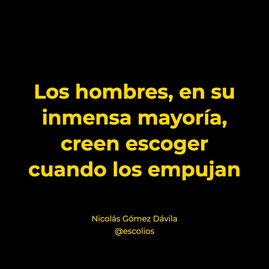 escolios tweet picture
