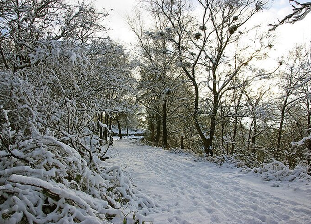 LachlanMain's tweet photo. PHOTOGRAPHY!
Greetings Cards. 
Rivington, snow dresses the trees by the Pigeon Tower.
#greetingscards #show #Rivington #winter #landscapephotography https://t.co/k1eo2Nk92p