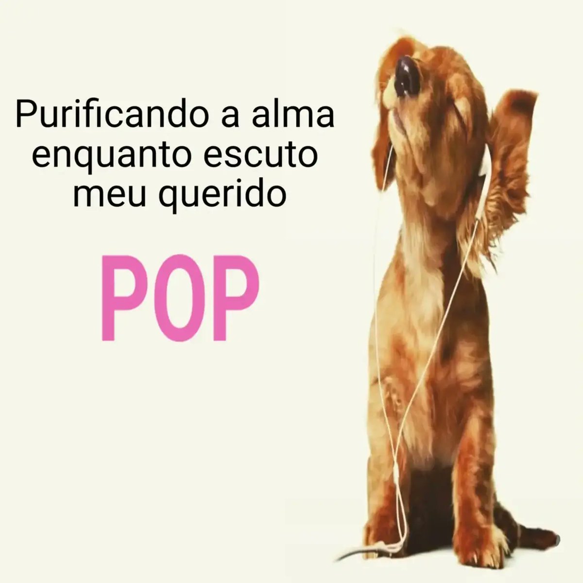 JacopoMosca's tweet photo. Purifying my soul while listening to my beloved POP. https://t.co/dxKPv2mcru
