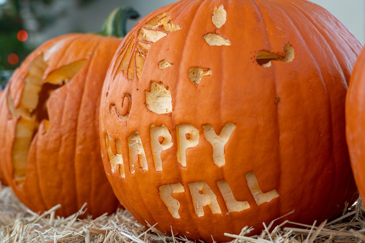 fortcollinsgov's tweet photo. 🍂☕ FoCo Fall Fest returns Oct. 9-11! Expect increased traffic, crowds and street closures around Old Town Square.

🚧 Impacted streets include Mountain Avenue, Walnut Street and Linden Street.

Thank you for driving carefully to help keep fall celebrations safe for all! 🧡 https://t.co/mHJJSIokyF