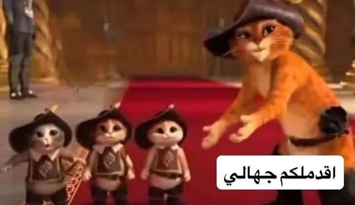 4vmrv's tweet photo. أكلت قطو عند بيتكم واختفت

هي بعد اسبوع : https://t.co/YKC7lPC2yZ