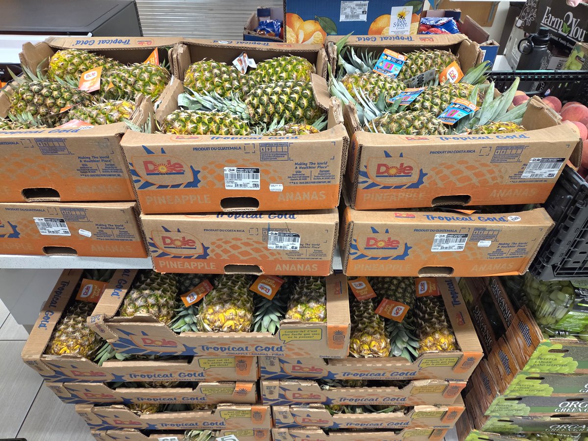 owenmiller75's tweet photo. Hungry @UVU students should get to the SLWC building for free fruits and vegetables (including grapes, melons, peaches, and even pineapples)! 😀 🍍
#APlaceForYou
#APlaceForFood
#FreeFoodFriday
#FreshFoodFriday
#UtahValleyUniversity
#UtahValley
#UVU https://t.co/JxrPMEvEPm
