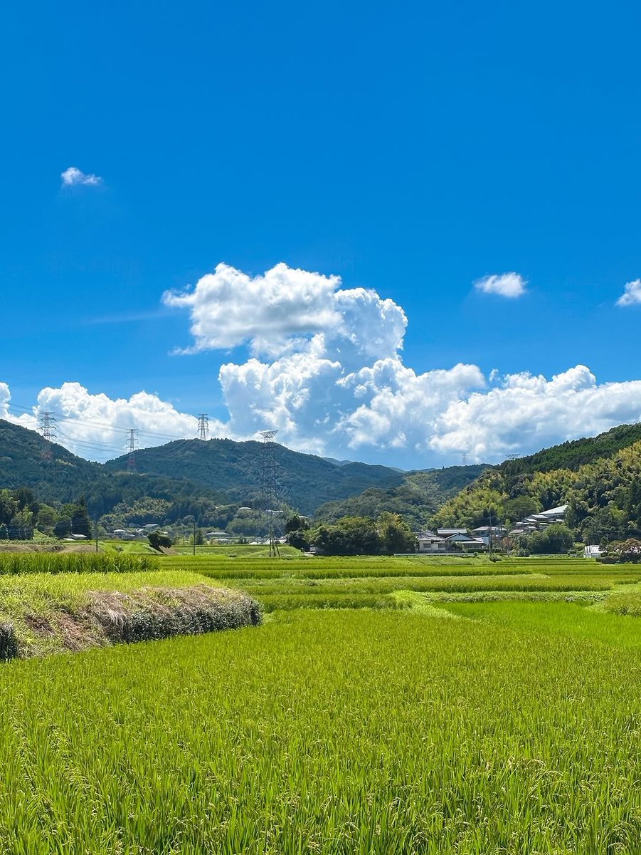 flower6260's tweet photo. Japan countryside https://t.co/eTet9HcUrp