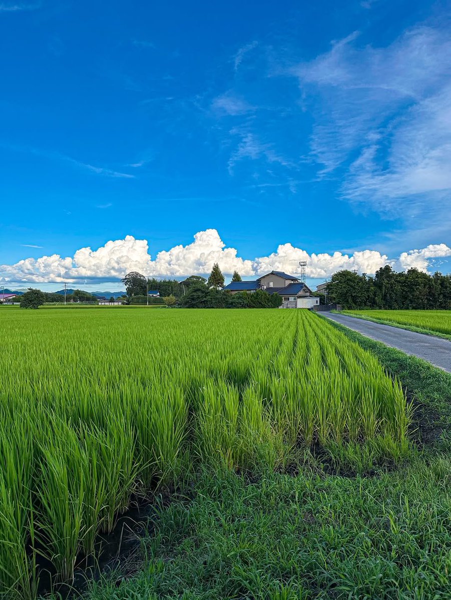 flower6260's tweet photo. Japan countryside https://t.co/eTet9HcUrp