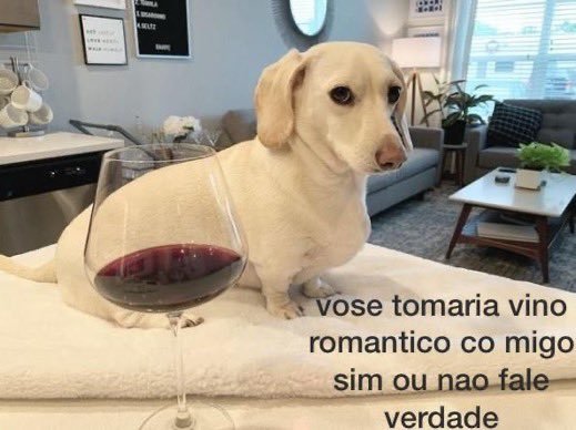 soomyheartz's tweet photo. @txt4hgenleaders aiiii...que gatinha... https://t.co/zJf8W0ABPE