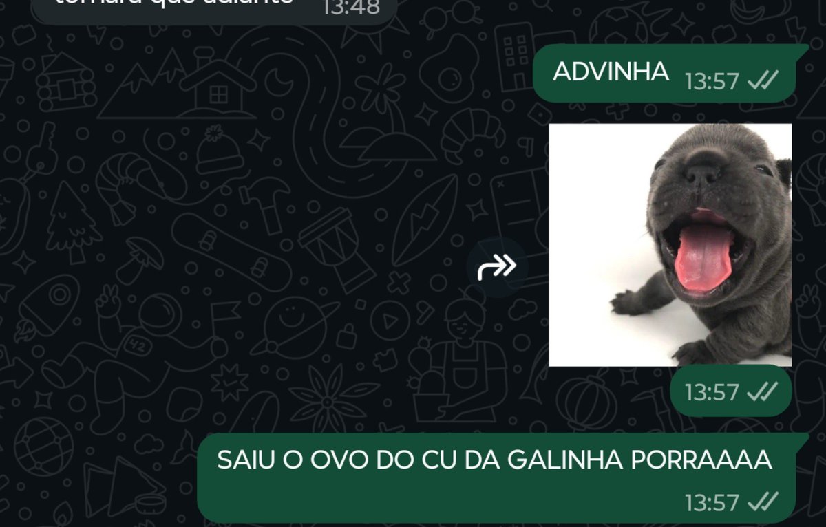 erickribeirou's tweet photo. Galinha botou ovo em tempo recorde https://t.co/aqgGVGGjOt