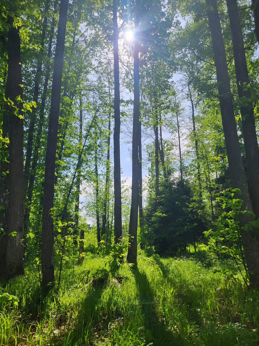 mjde_abdan's tweet photo. Nature, beauty, spring, Kubinka, wine https://t.co/HcdngB8kwC