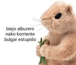 byylaniee's tweet photo. @AndreJoel666 POQ KIERES K M DESVIVAN https://t.co/6UWVO8JwTu