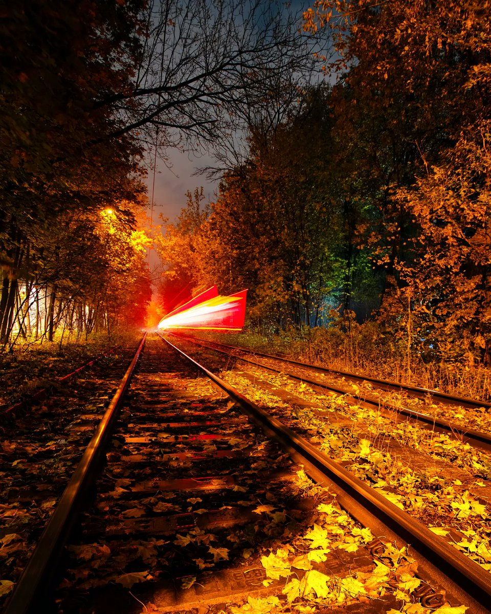 kat_8510's tweet photo. Racing through the forest... Sokolniki Park... https://t.co/DK4iKqDSp3