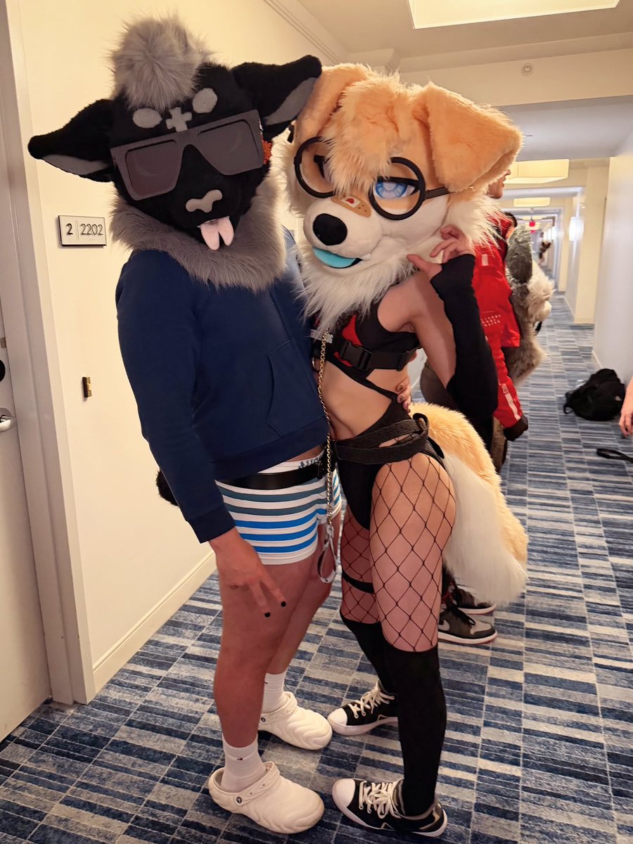InariKoKami's tweet photo. I thought he was a sheep 
But he lowkey turned out to be the 🐐

#fursuitfriday https://t.co/rTjarhfVdR