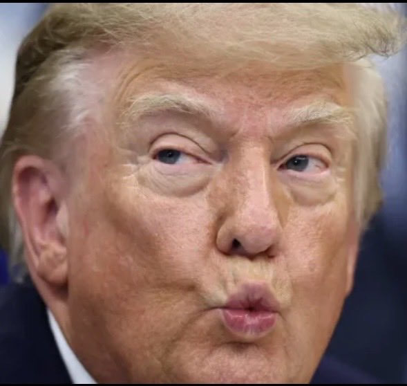 commons96055467's tweet photo. This USA is upside down in the toilet. Tony Romo lost his job at CBS sports this morning because of a DUI arrest, while trump a convicted criminal, adjudicated rapist, and a possible Epstein pedophile, gets to keep his job. https://t.co/AHXI4sHQmT