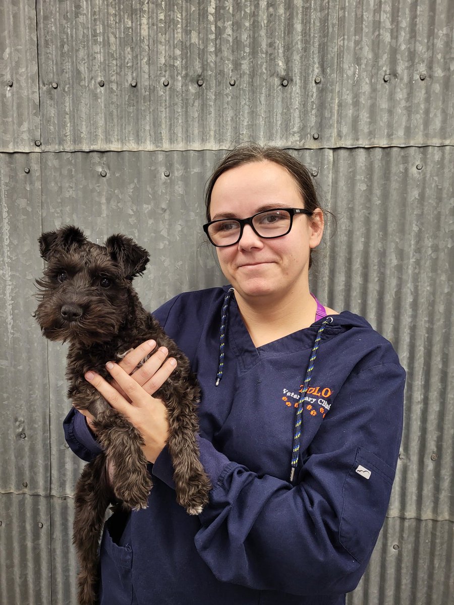 3mptygold's tweet photo. just a girl and her boy dog ❤️ https://t.co/RWwn3twCPm