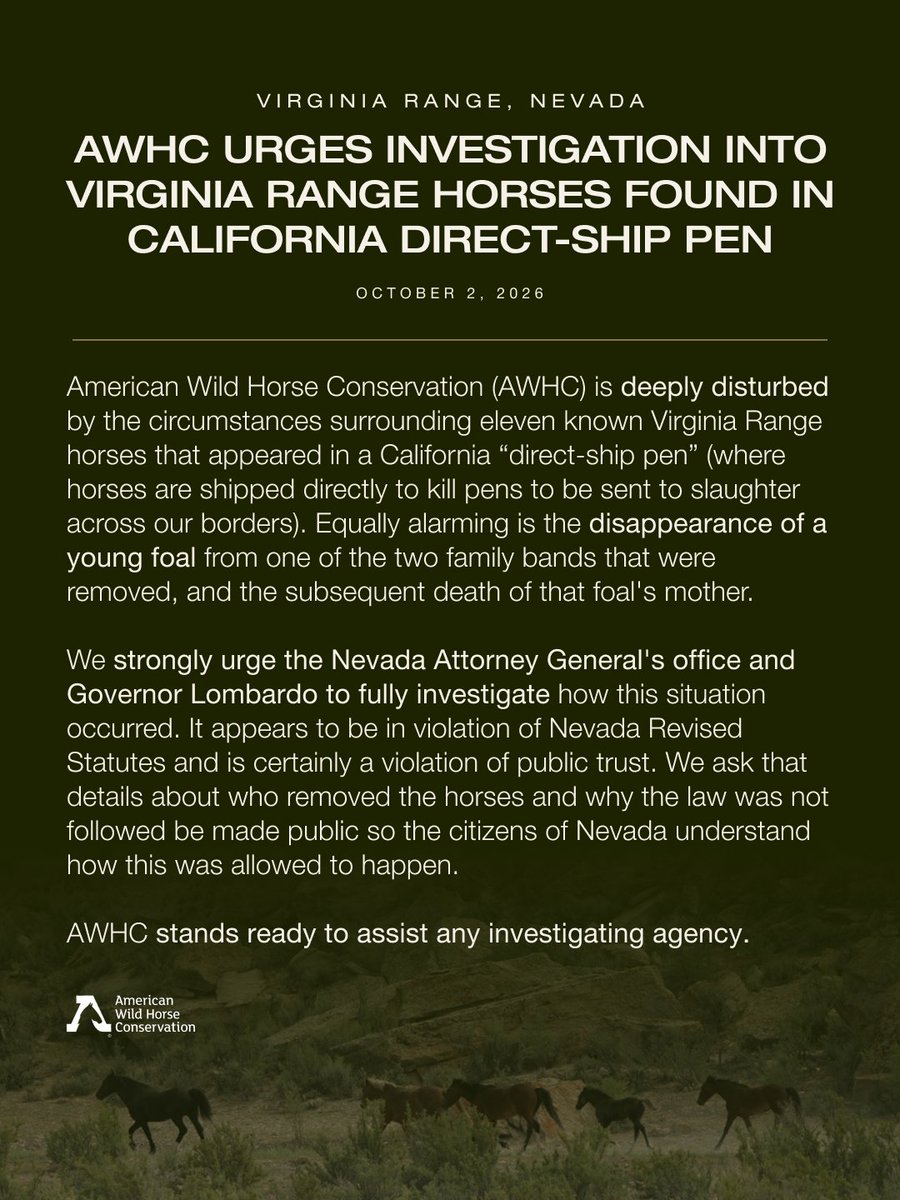 FreeWildHorses's tweet photo. AWHC is deeply disturbed by reports involving 11 Virginia Range horses appearing in a California direct-ship pen, the disappearance of a foal, and the subsequent death of its mother. We urge Nevada officials to fully investigate and make the facts public. https://t.co/hDljxaAtZc