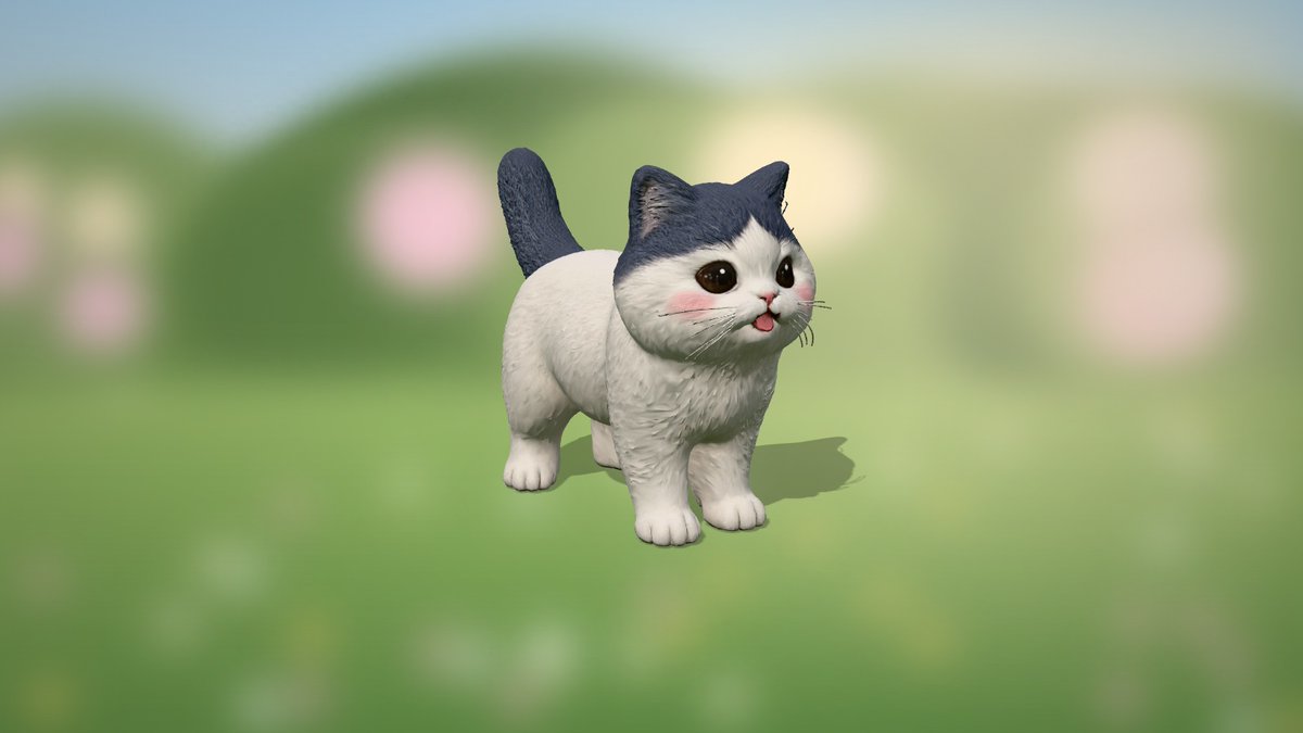 catcosanctuary's tweet photo. 🏡🔥 A legend just moved in: Hachiware!
👑 The cat of Nagano
👀 As seen in @anime_chiikawa's post
🎮 + its in-game look in the garden 🌿
🔓 No coin yet: be the first to adopt it 👇
https://t.co/kXmxPIdQ4y
#catcoin #CatsOfX https://t.co/sUYl5ILtvW