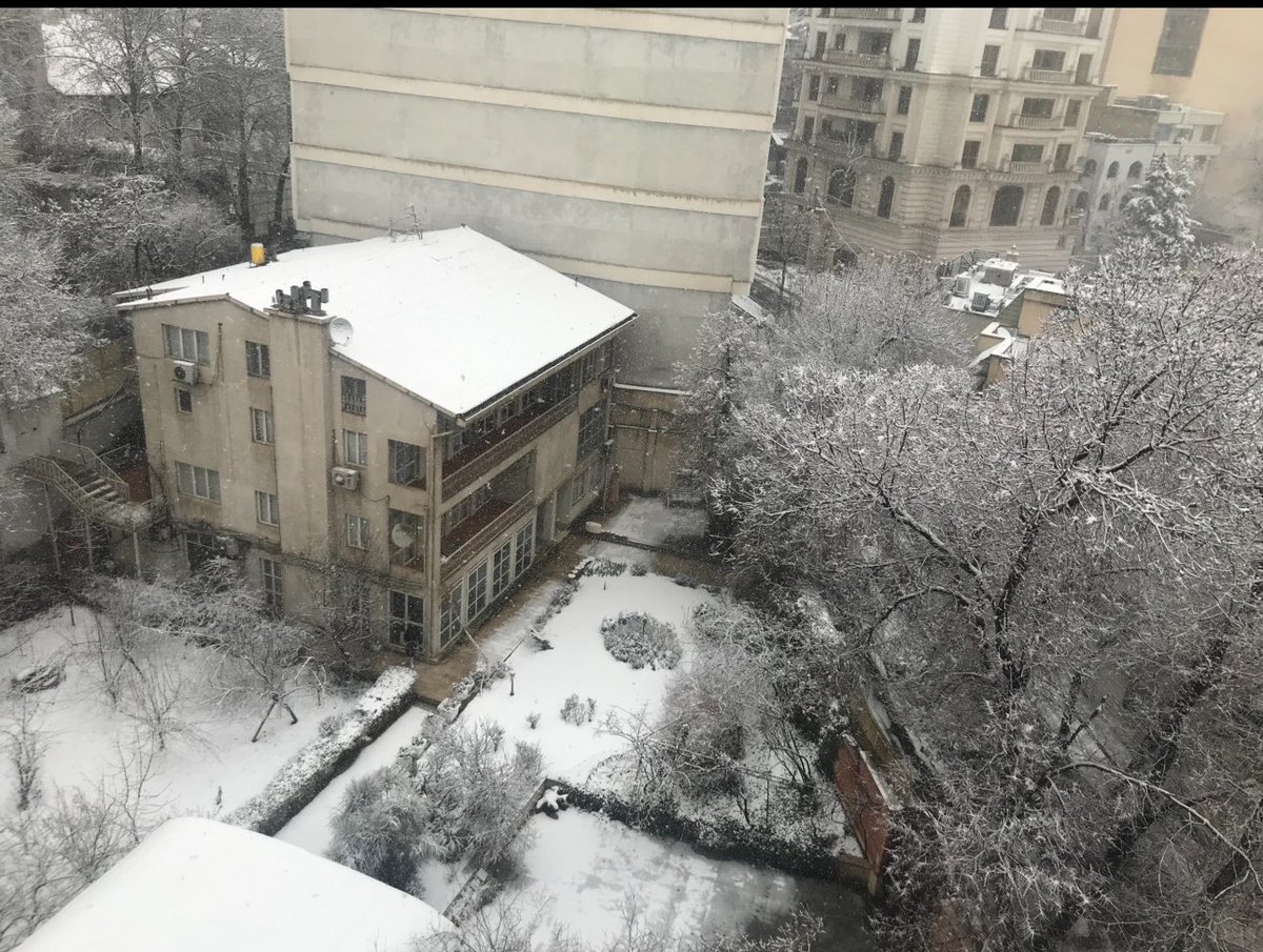 Vahids7s's tweet photo. ۱/
بعد‌ از مدتها،پیر‌زن خونه‌ روبرویی مونو تو‌خیابون‌ دیدم‌ قدم‌ میزنه،گفتم اگه کاری داری من انجام بدم،
پیرزن؛نه عزیزم اومدم قدم بزنم
من؛چرا تو‌حیاط خونه قدم‌نمیزنی به اون خوشگلی،
پیرزن؛اونجا خیلی کوچیکه،خسته کننده‌است، https://t.co/38DB43rtAI