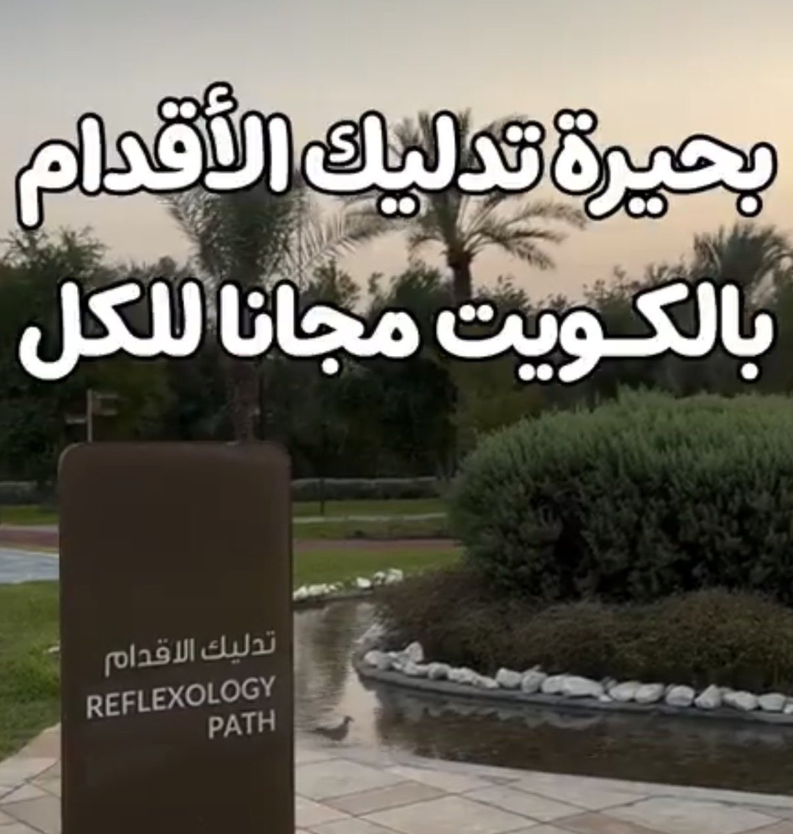 Dralkhayat's tweet photo. المشي حافيًا في الممرات المائية العامة قد يعرّضك للفطريات والثآليل والالتهابات، خصوصًا مع وجود جروح بالقدم

النظافة، التعقيم، وتجفيف القدم بعد الاستخدام أهم وسائل الوقاية
الأفضل الفحص الدوري للمياه، وتجنبها لمرضى السكري أو من لديهم جروح بالقدم  
و الباب اللي يجيك💨
#حديقة_الشهيد https://t.co/aPeaP9RwRJ