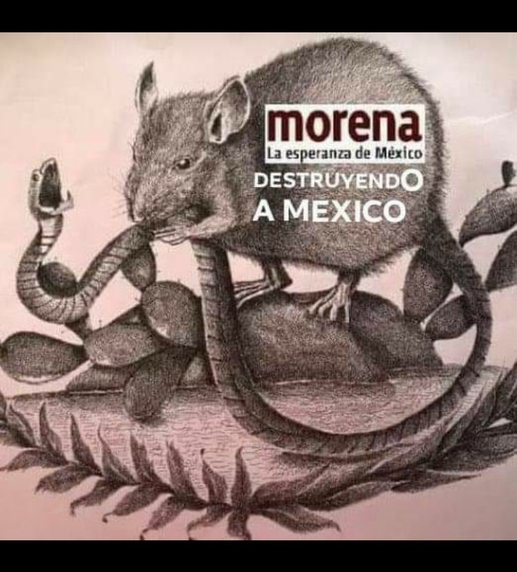 Ferka71's tweet photo. @mario_dico50 @PartidoMorenaMx  @GobiernoMX Perfecto! Merecen vivir en un infierno cada día de sus vidas, sacrificaron brutalmente al país, nosotros lo sufrimos cada día, que les llegue la factura y con intereses. #narcogobiernomorena que sea el fin de la maldita y miserable 4T. https://t.co/oUaoiiHaAx