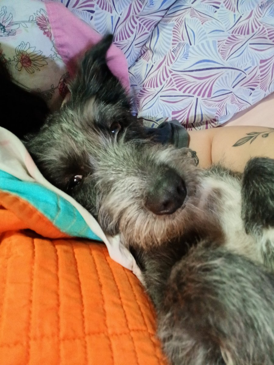 martinezmaca_1's tweet photo. te voy a amar toda la vida mi lunita, bebe de la mami🤍 https://t.co/siq17iSoIj