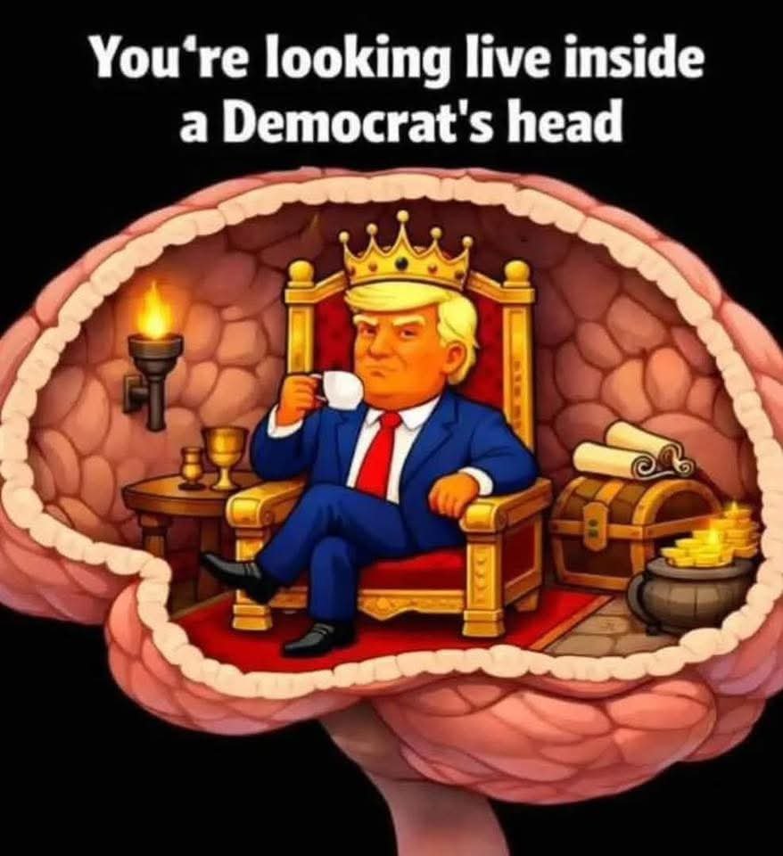 SoldierNorthern's tweet photo. @BanNothing82 @zapper_928 @david_cava1977 @MAGAlwr5 But yet he Is. https://t.co/WJjAaWc4OW