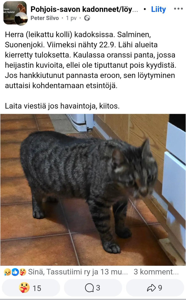 JP_Latti's tweet photo. #Suonenjoki #Salminen #Savo : Kadonnut / karannut kissa https://t.co/qVgTREjvL2
