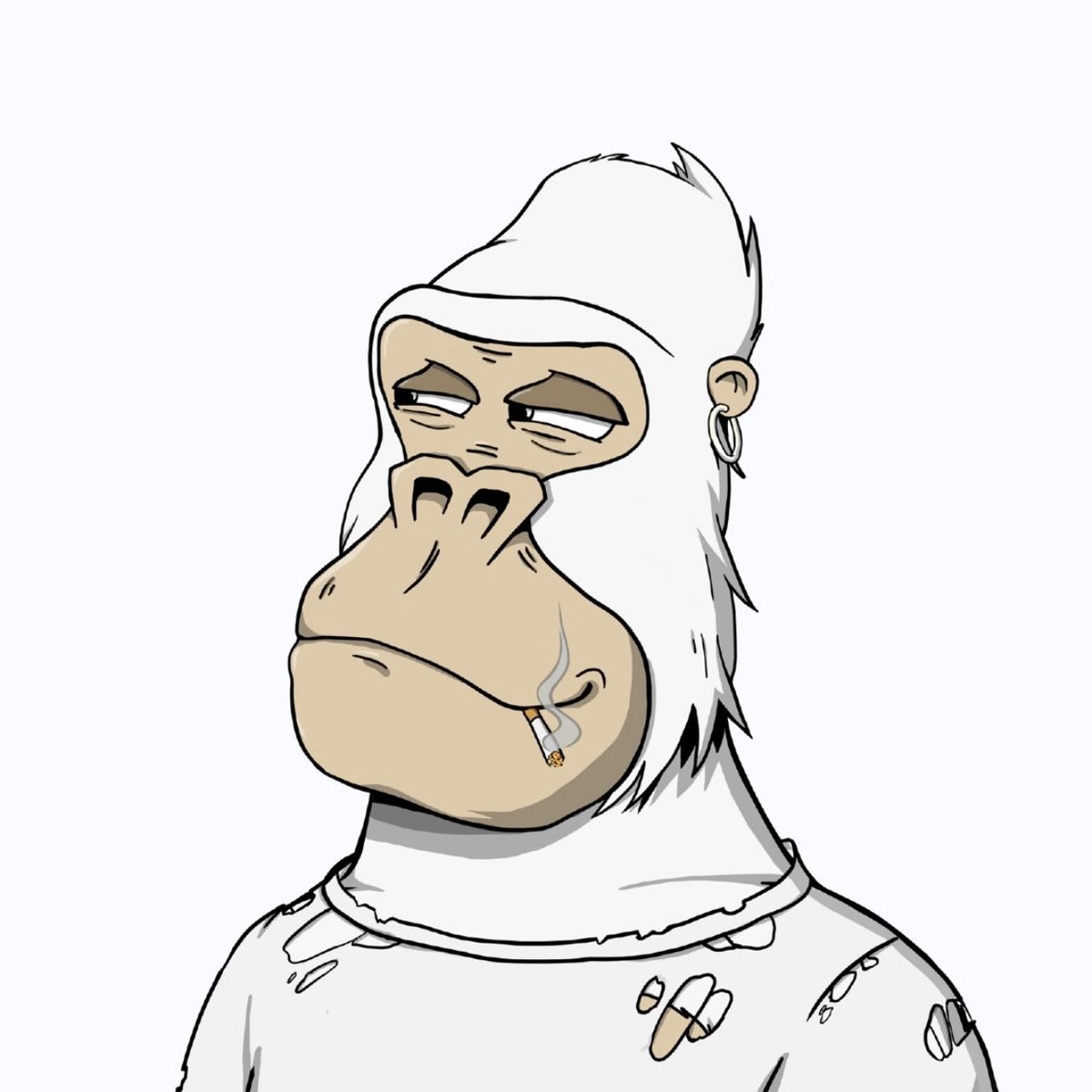 KONG8445's tweet photo. Friday is for the Chilled Kongβs Community #FlexFriday https://t.co/S2RgoF0oSv