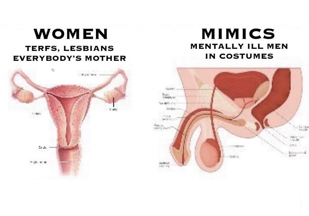 strawb_bug's tweet photo. “what’s the difference between a transwoman and a woman” https://t.co/BWHvdLE99u