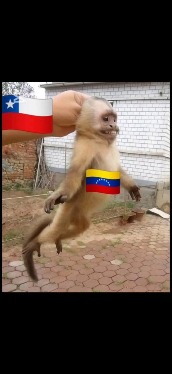 AugustoMedyylu's tweet photo. @SamuelV40098430 @YassMin_2026 Ya ya negrito. Ahora vete de patria! https://t.co/IJr12BE7Wd