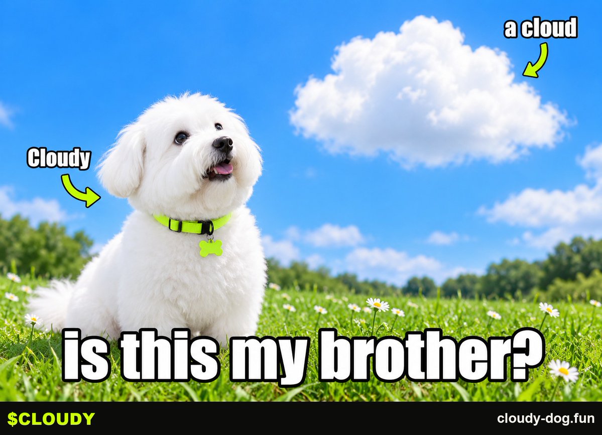 Cloudy_dog_fun's tweet photo. family reunion got weird. my brother keeps drifting away.

should i bark or check the forecast?

$CLOUDY: launch planned via Pons on Robinhood Chain. not live yet. https://t.co/ocA0obGt9R