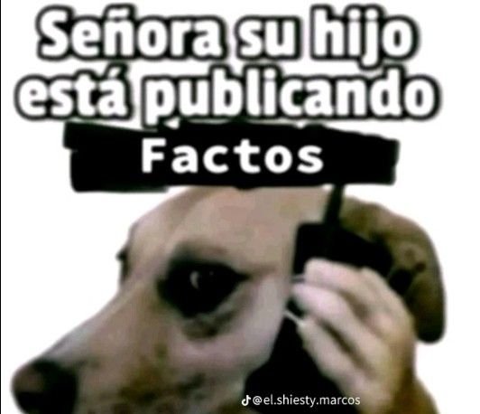 tikytin269697's tweet photo. @chavezmstdie https://t.co/ig5iF9Qj9t
