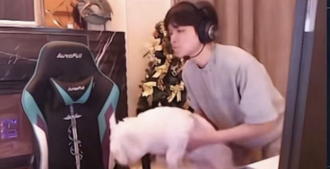 3362735509h's tweet photo. @rebepew CXY is a dog lover . https://t.co/5YXR9O3wb1