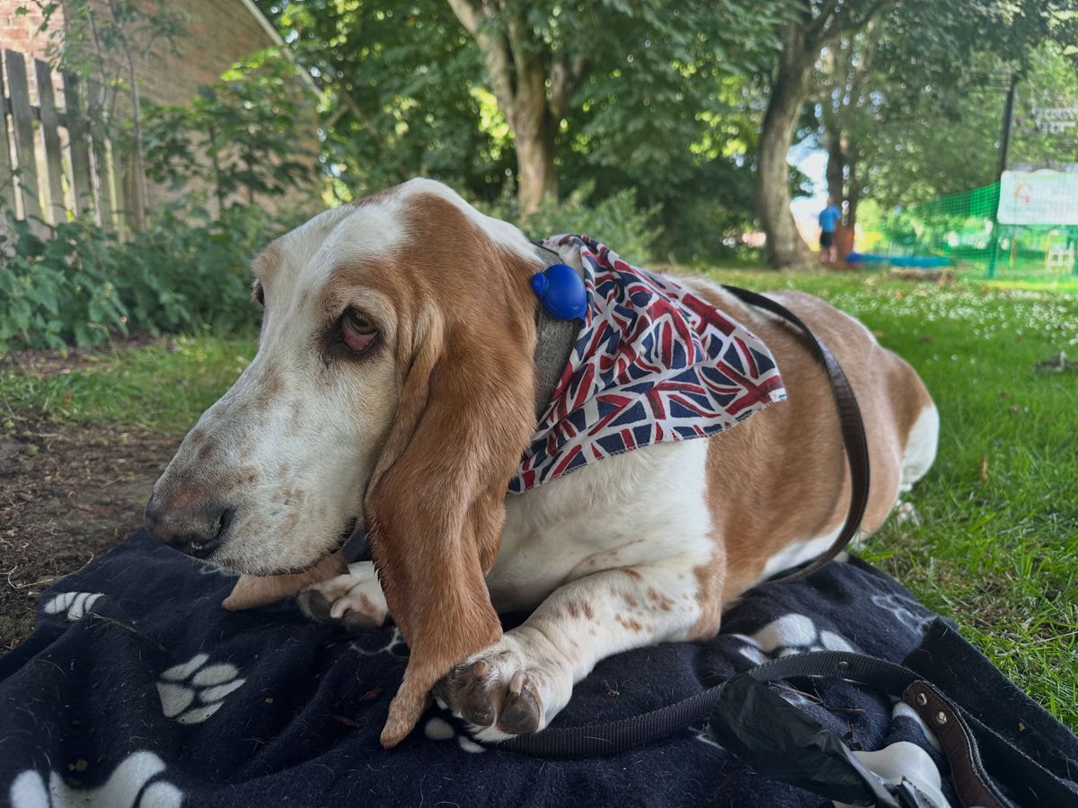 tungaali's tweet photo. Photo by Phoebe on August 11, 2026. It may be an image of a bandana and text. https://t.co/yAO9BwKLnc
