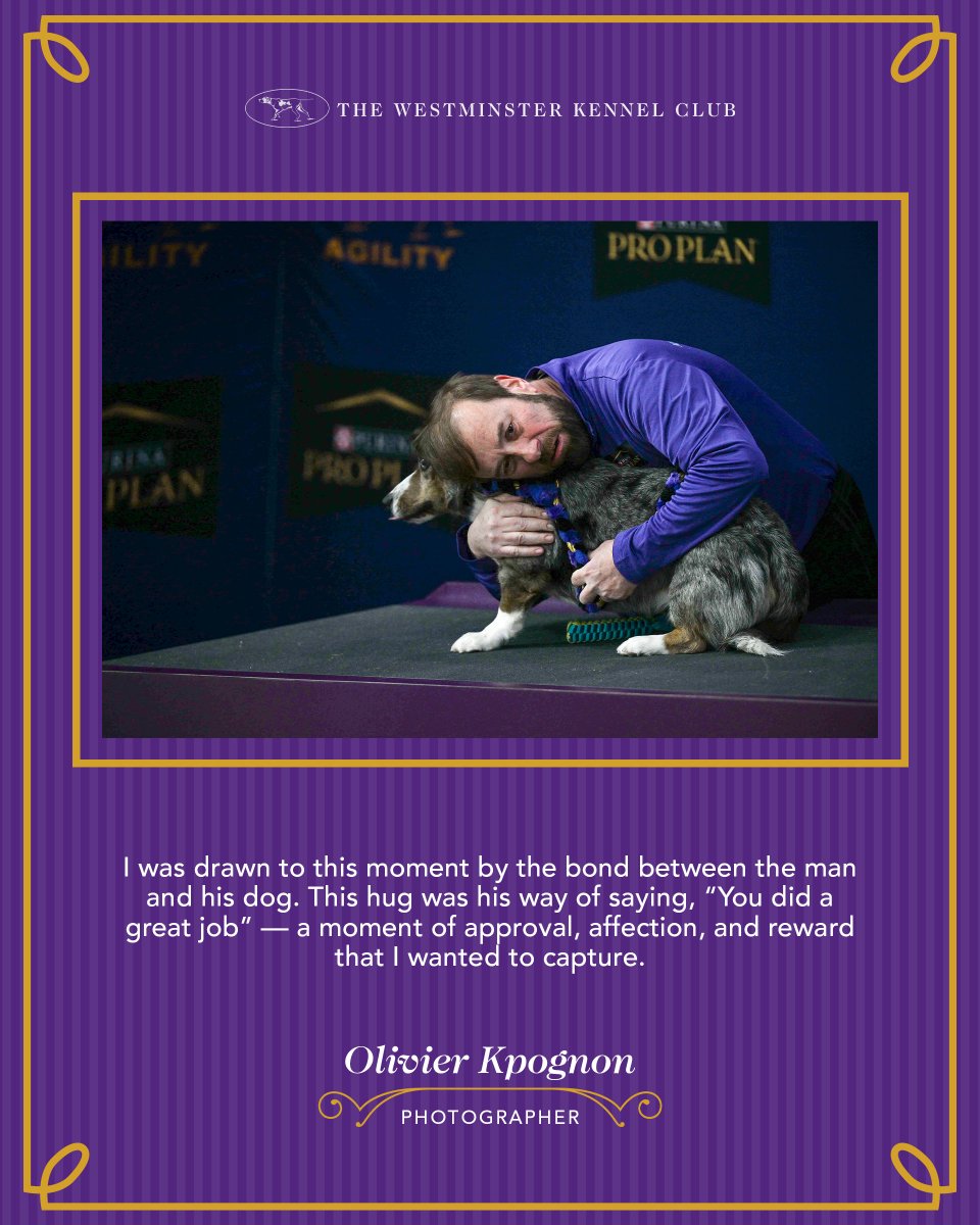 WKCDOGS's tweet photo. Celebrating show photographer Olivier Kpognon and his exhibition, Beyond the Ring: Photographs from the 150th Westminster Kennel Club Dog Show. On view at The Westport Library through Dec. 8. https://t.co/HBekfwHojm