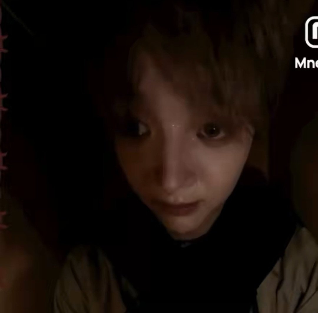 nichojooism's tweet photo. jjupuppy https://t.co/3IUPbHWtGc