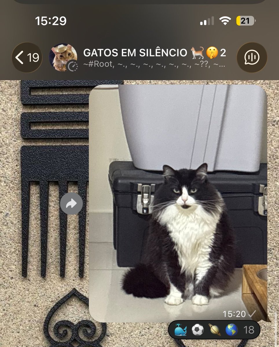 cravocanelaaa's tweet photo. minha filha mais velha sofrendo gordofobia no grupo https://t.co/aIz7fjbQps