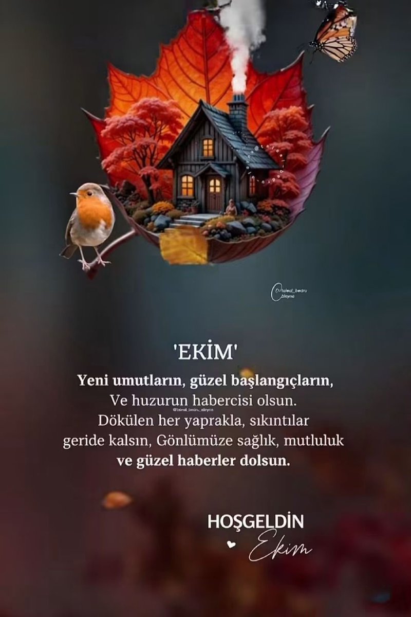 Nermin_Oncel's tweet photo. 🧚‍♀️🙏🏻 https://t.co/kCbnbY55jp