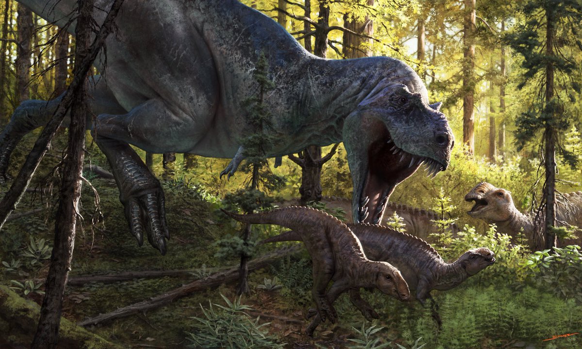 TM9380's tweet photo. Art of the new tyrant Tromerosaurus by paper coauthor @Paleoartologist. Hank is one of the top paleoartists out there. My god this is glorious… https://t.co/x3OIDBXkAb