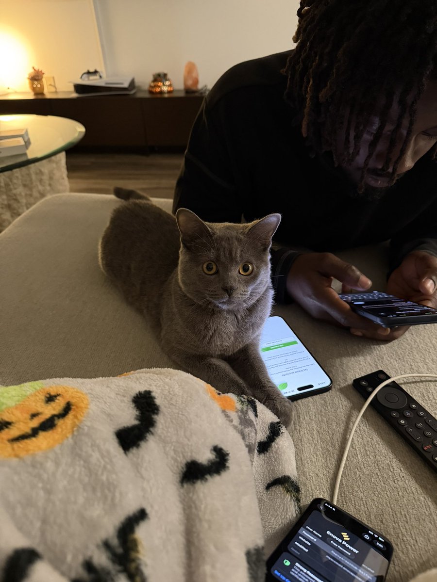 f4ru9's tweet photo. https://t.co/IQh3ijjl91