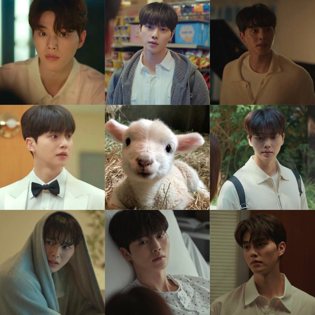 lunezub's tweet photo. 'sheep' https://t.co/8b3xP7hBfQ