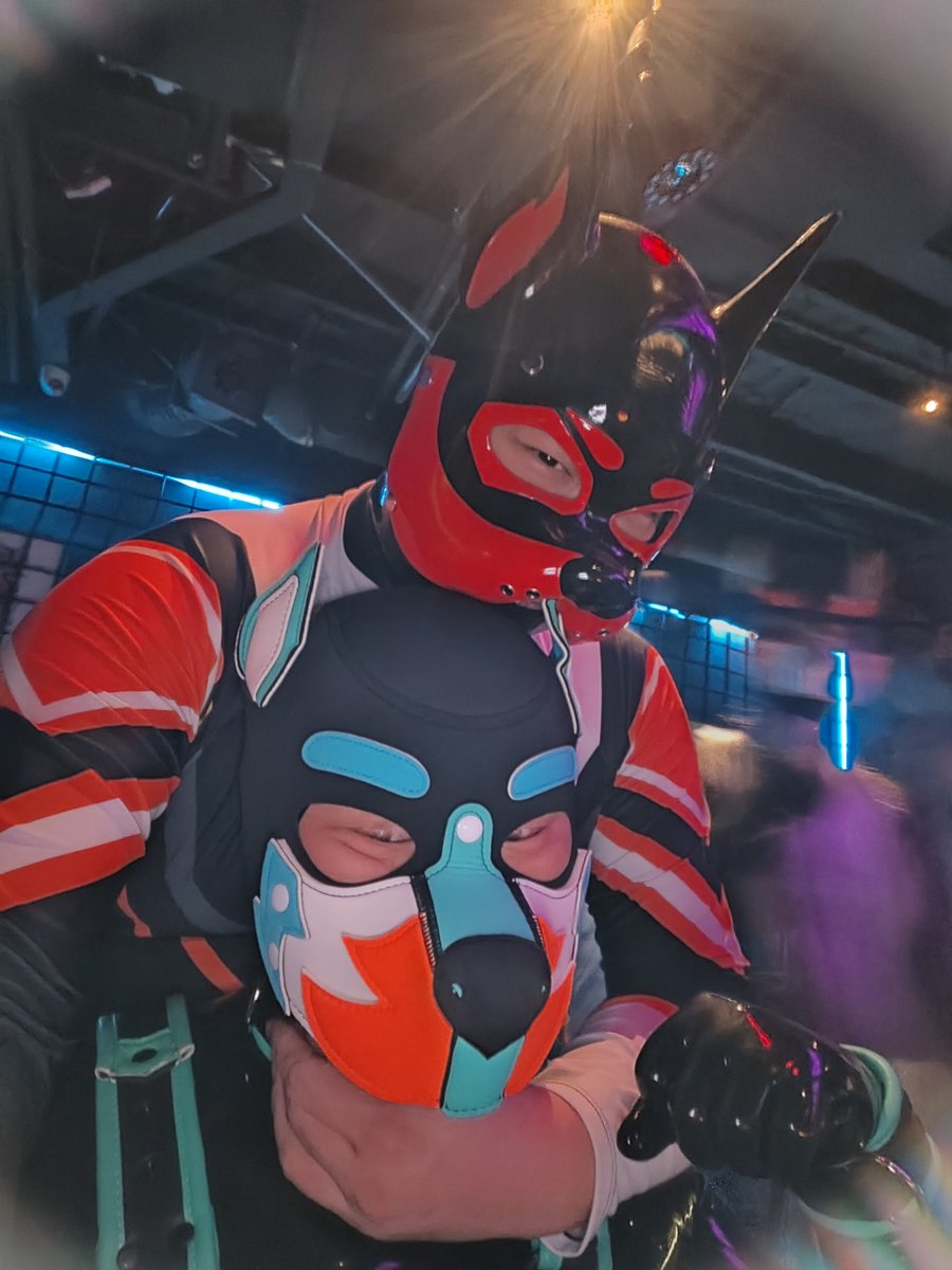 FurryKuko's tweet photo. 今天在吠酒贴到好多可爱小狗，呜呜呜，大家都好可爱 https://t.co/FvIjMW6y3t