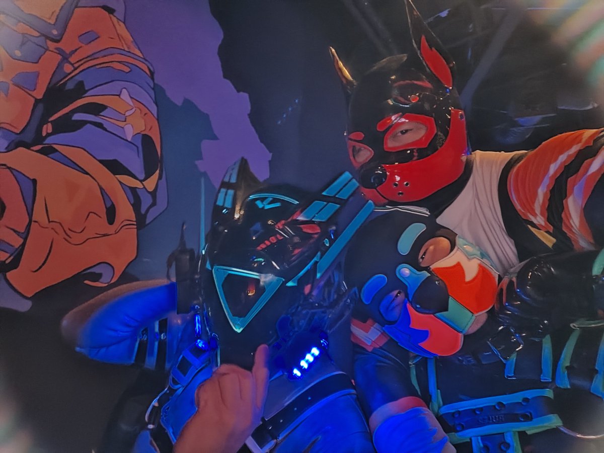FurryKuko's tweet photo. 今天在吠酒贴到好多可爱小狗，呜呜呜，大家都好可爱 https://t.co/FvIjMW6y3t