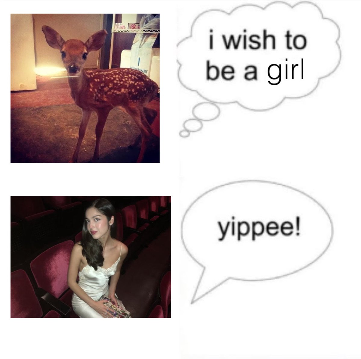 livbambi's tweet photo. yippee! https://t.co/D8LKghzpiy