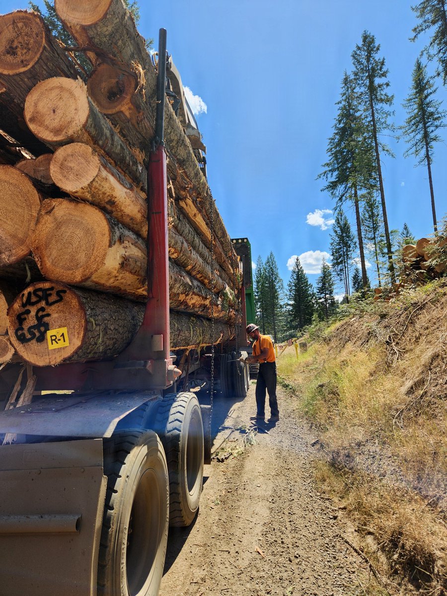 forestservice's tweet photo. It’s Forest Products Week 2026!

Over the past 10 years, we have sold approximately 3 billion board feet annually or enough timber to build 111,000 homes.

By 2028, our goal is 4 billion board feet or enough for 148,000 homes. #ForestProductsWeek https://t.co/qWIDLRusy5