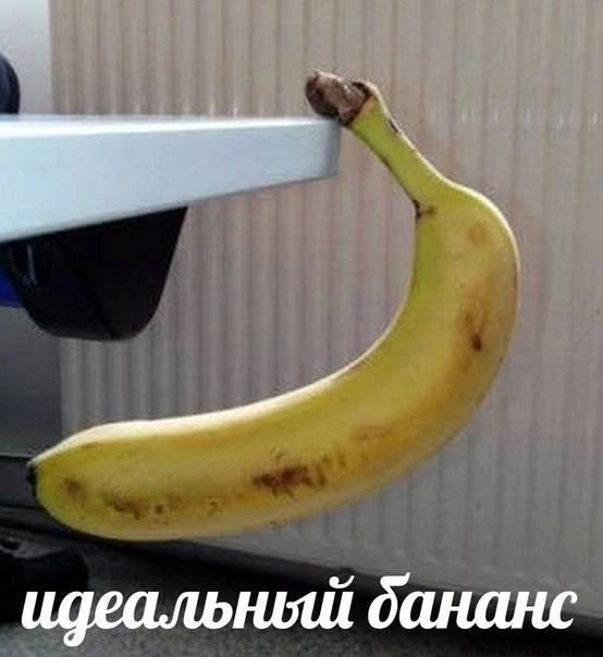 shkotobaza's tweet photo. https://t.co/2dn052q8V1