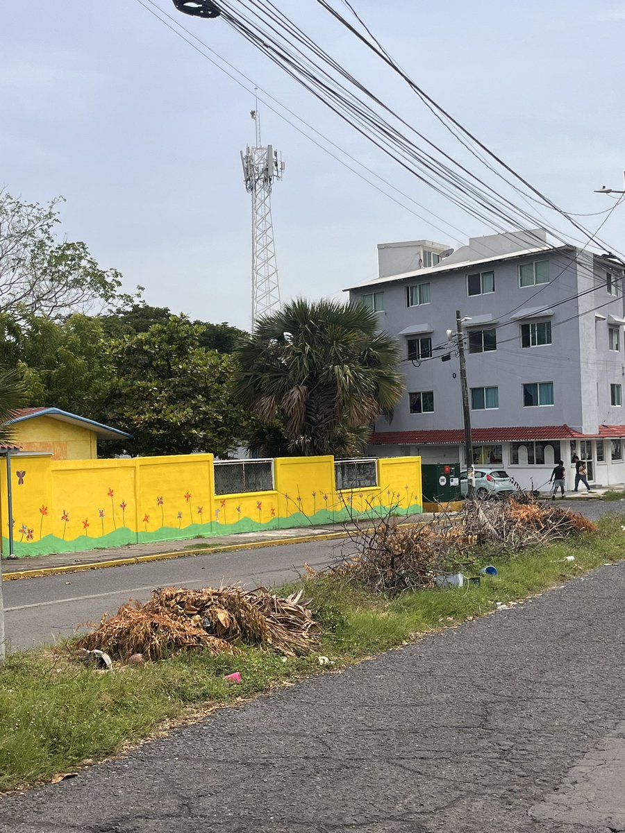 Oz_Rivera's tweet photo. @AyuntamientoVer Favor de enviar cuadrilla de limpia pública para realizar chapeo y limpieza de camellones en Fracc. Flores del valle Calle Paseo de los Ébanos entre paseo de las palmas y Margaritas. @espejohernandez su atención por favor 🙏 https://t.co/21PAc0HFn1