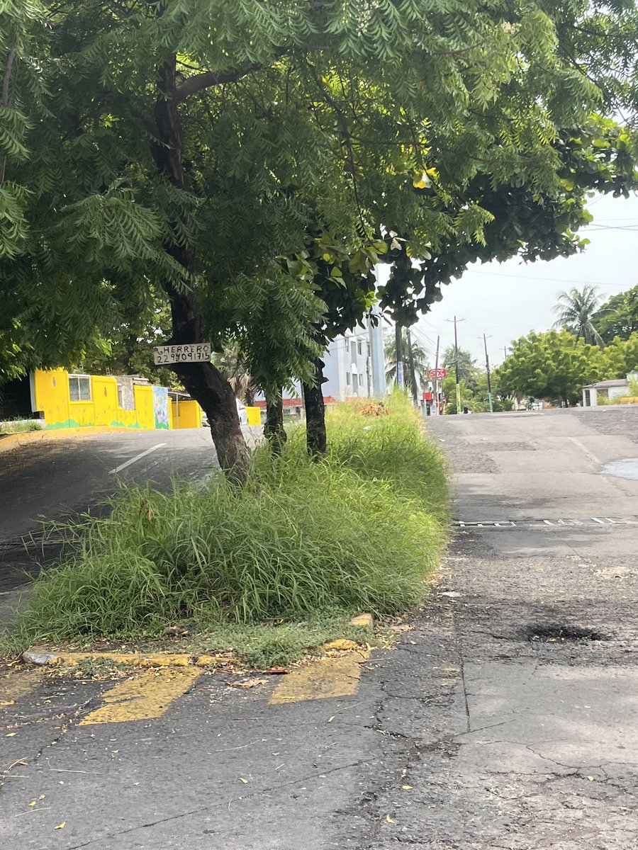 Oz_Rivera's tweet photo. @AyuntamientoVer Favor de enviar cuadrilla de limpia pública para realizar chapeo y limpieza de camellones en Fracc. Flores del valle Calle Paseo de los Ébanos entre paseo de las palmas y Margaritas. @espejohernandez su atención por favor 🙏 https://t.co/21PAc0HFn1