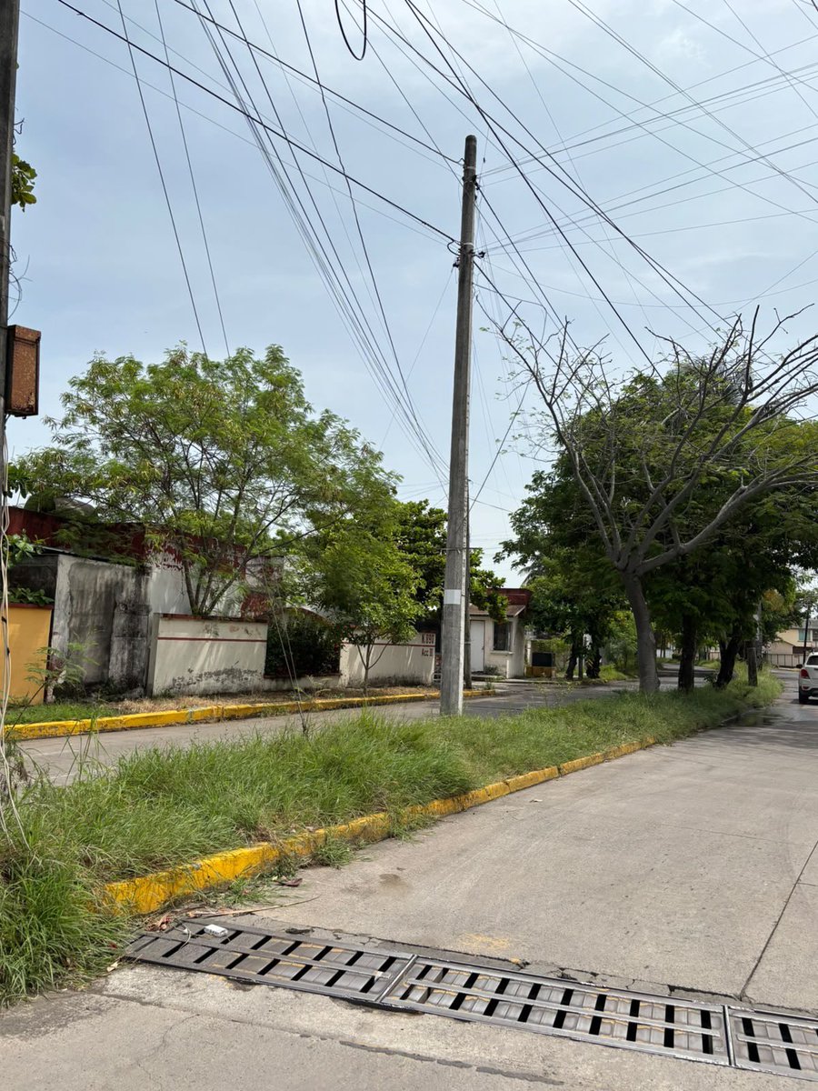 Oz_Rivera's tweet photo. @AyuntamientoVer Favor de enviar cuadrilla de limpia pública para realizar chapeo y limpieza de camellones en Fracc. Flores del valle Calle Paseo de los Ébanos entre paseo de las palmas y Margaritas. @espejohernandez su atención por favor 🙏 https://t.co/21PAc0HFn1