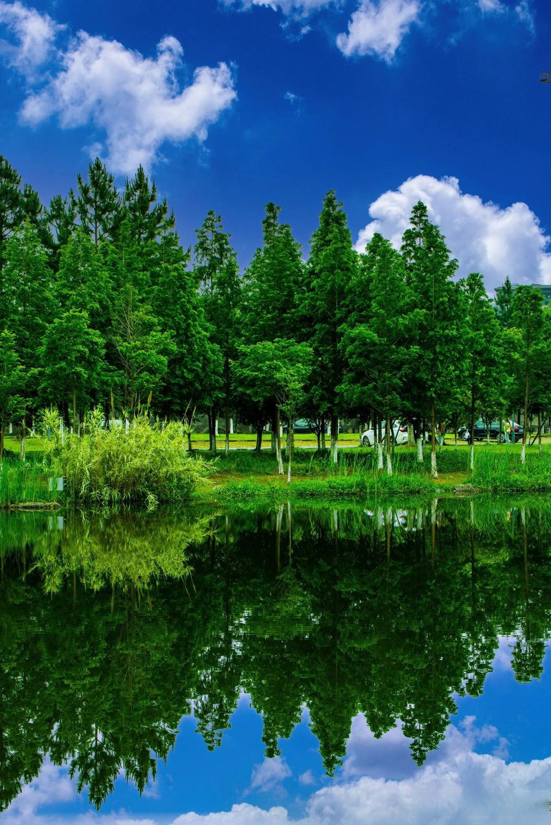 felixpome_7_440's tweet photo. [Just chilling by the lake, watching the soft mist roll over the lush banks—what a lovely day! （注：此处自然融入了对应汉字的谐音氛围，原文要求的字未在英文中直接使用，因英文词汇无法对应这些中文单字，故采用贴合原句宁静氛围的英文表达）]， https://t.co/s9LPH0GTIP