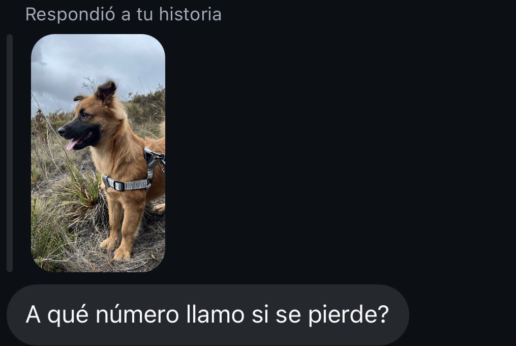 Natinxtt's tweet photo. Creatividad 10/10 https://t.co/xN0BK6VtV6