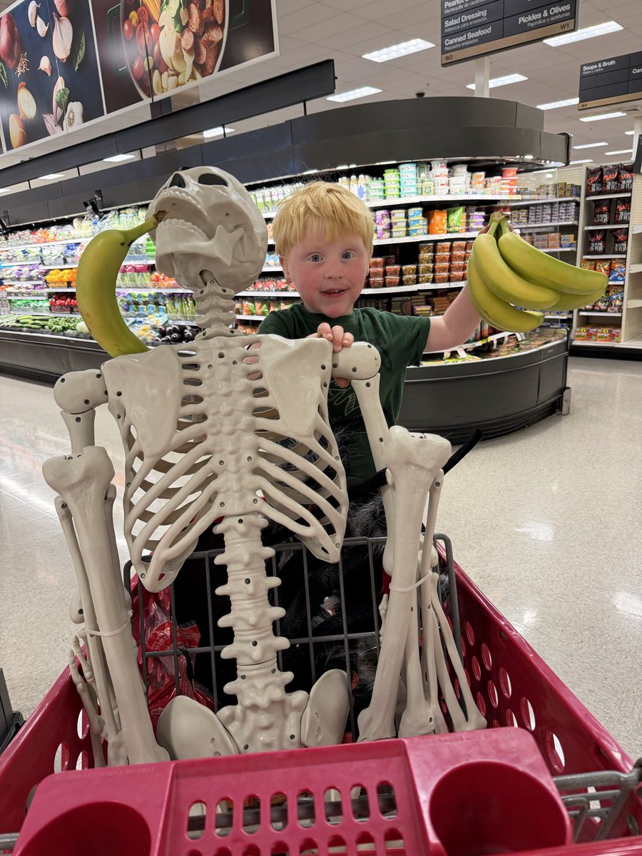 TradeCook's tweet photo. @MitchJonez With the latest giveaway I took my kid halloween decoration shopping since it is his favorite holiday, and brought him to a convention to drive construction vehicles. https://t.co/lorMOjWxZk